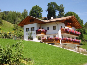 Boznermüllerhof - Geranie Verano